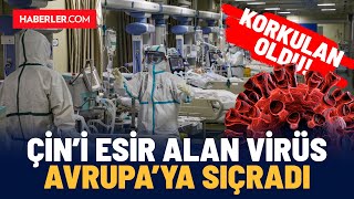 Çini Esir Alan Virüs Avrupaya Sıçradı [upl. by Germann]