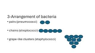 Classification of bacteria [upl. by Casper]