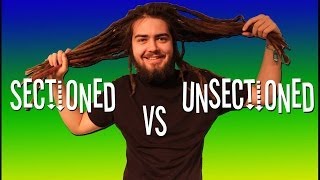 SECTIONED VS UNSECTION DREADLOCKS [upl. by Ullund]