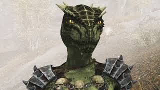 Argonian says stop questioning it [upl. by Takeshi]