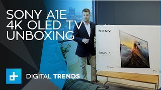 Sony A1E OLED 4K TV  Unboxing [upl. by Narine258]