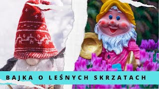 Bajka o Leśnych Skrzatach  Dawno dawno temu w urokliwym lesie  na malowniczych wydmach [upl. by Arretahs136]