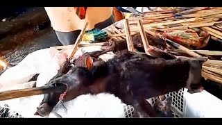 Wuhan Wet Market  Before Coronavirus  Wuhan China  Part 2 Warning Graphic [upl. by Arrait]