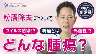 【粉瘤原因】粉瘤とはどんな腫瘍？明らかになっている2つの原因とは【粉瘤手術】【粉瘤除去】 [upl. by Rehsa]