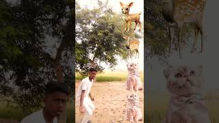 Cat to 🐈Hiran barasingha 👍shorts shortvideos ytvfx ytviral ytshorts trading [upl. by Ietta]