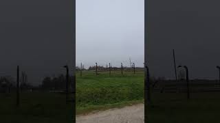 A View of Auschwitz II Birkenau From Inside the Gate Oswiecim Poland [upl. by Tharp]