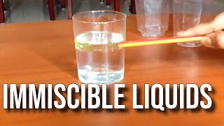 Immiscible liquids  Water and oil doesnt mix with each other Science Experiment [upl. by Eimor731]