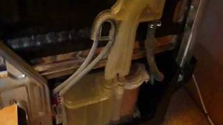 DiplomatSMEG ADP8242 Dishwasher leak  Water Softener Oringwmv [upl. by Uok]