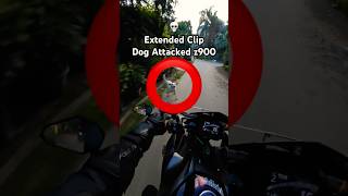 💀 Dog Attacked Kawasaki z900 💀 z900diaries kawasaki dogattack [upl. by Pytlik]