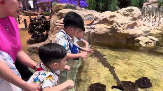 Kalev Kael Kaev 6th Birthday  SeaWorld Abu Dhabi Theme [upl. by Madriene769]