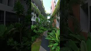 Flying across HOMAs sustainable community garden  HOMA Phuket Town [upl. by Akived]