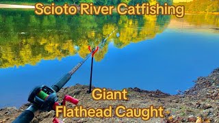 This Deep River Channel hold’s a Giant Catfish PB Caught 50Ib Flathead [upl. by Sholes656]