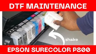 DTF EPSON P800 DAILY MAINTENANCE [upl. by Asilim]