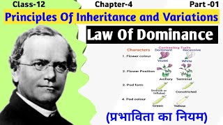 Mendels Law of Dominance Explained  Principle of inheritance and variation  Class 12 Biology [upl. by Aliakam515]