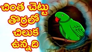 Telugu Rhymes For Children  Chintha Chettu Thoralo Chilaka Vunnadhi Song  Animated Telugu Rhymes [upl. by Raquela367]