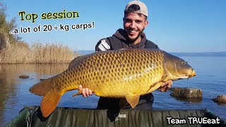 Carpfishing Lago di Bolsena Sessione TOP  The Powerful Big Carps of Big Lakes Team TRUEeat®️ [upl. by Auqenehs]