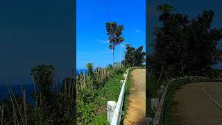 Berong over looking 👀 fypシ゚viral traveladventure beautifulnature palawanbeach highlights [upl. by Ahsekal]