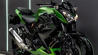 Kawasaki Z250 Review Features Performance and Ride Experience [upl. by Eseenaj]