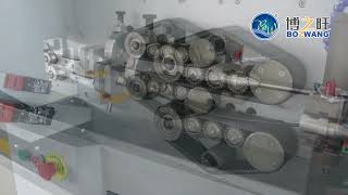 BZW50WX Computerized Wire Cutting and Stripping Machine for Multicore RoundFlat Sheathed Cable [upl. by Brader]