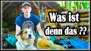 Unglaubliche Begegnung  Waldübernachtung mit Hund  Unfall  Waldlager  Lagerleben [upl. by Naj433]