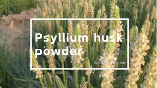 Psyllium husk powder [upl. by Alliehs]