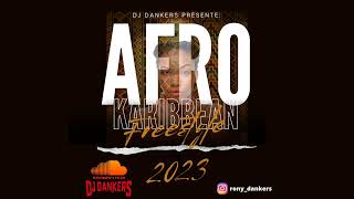 Dj DANKERS  Afro Karibbean Freestyle 2023 [upl. by Aniehs610]