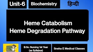 Heme Degradation Pathway [upl. by Dralliw102]