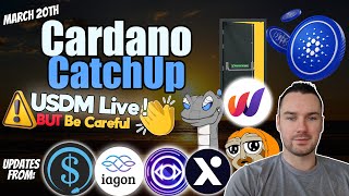 USDM Live On Cardano ⚠ World Mobile Plans  More Cardano News [upl. by Idnyl]