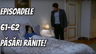 Levent află ADEVĂRUL Le spune tuturor ce a făcut Hulya Păsări rănite episoadele 6162 [upl. by Suillenroc305]