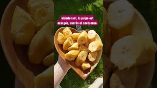 Comment manger les bananes plantain crues [upl. by Rezal]