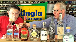 Los Otros Destilados Mexicanos 1️⃣ • Raicilla • Bacanora • Sotol • [upl. by Nancy]