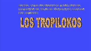 popurri tropilokos [upl. by Sucitivel]