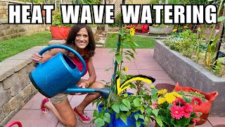 How to Water Your Container Garden in a Heat Wave HeatProof Your Plants [upl. by Sigmund]