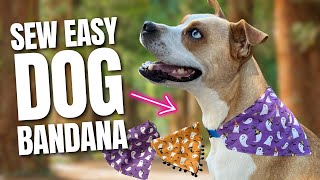 🐶 Sew a DIY Over the Collar Dog Bandana in 15 Minutes or Less [upl. by Lasyrc]