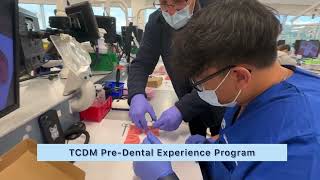 Touro College of Dental Medicine PreDental Experience June 1215 2023 [upl. by Avrit]