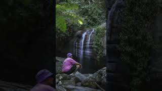 Sunshine Coast Queensland Serenity Falls Buderim Forest Park [upl. by Alyam458]