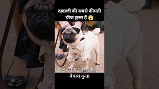 यह कुत्ता दादी की सबसे कीमती चीज हैं 😱  short anime cartoon dog [upl. by Fedirko164]