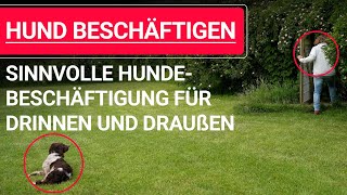 🐶 Hund beschäftigen ➡️ Sinnvolle Hundebeschäftigung für drinnen und draußen 🐶✔️ [upl. by Nylisoj183]