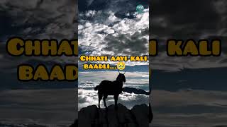 Meriye Jaani Ra Bsera  Nati king Kuldeep Sharma  Pahadi mp3 [upl. by Nida]