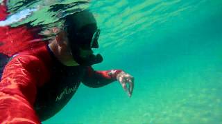 Harlyn Bay Snorkeling Cornwall England near Padstow [upl. by Aratas446]