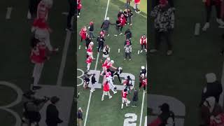 Michigan Student Stops Ohio State Players from Destroying the Flag 🏈 [upl. by Desirea787]