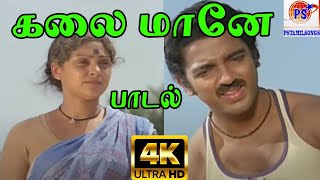 Kalai Maane கலை மானே  P Susheela  H D Song [upl. by Arreip743]