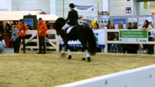 AraberFriesen Hengste2  Equitana 2013 [upl. by Reyaht]