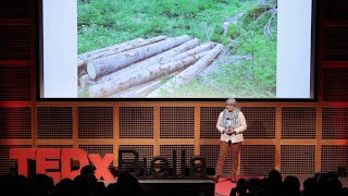 Il bosco respira il bosco ci parla  Maria Rita Gallozzi  TEDxBiella [upl. by Anerul]