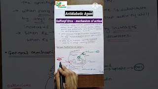 antidiabetic agents insulin and insulin preparation sufonyl urea moa Tolbutamide synthesis sar moa [upl. by Jammal]