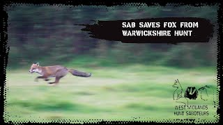 Sab saves fox from Warwickshire Hunt [upl. by Iidnarb399]