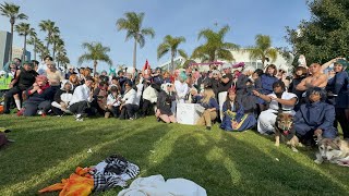 Anime Los Angeles 2024 Day 3 Jujutsu Kaisen Cosplay Gathering [upl. by Leong]