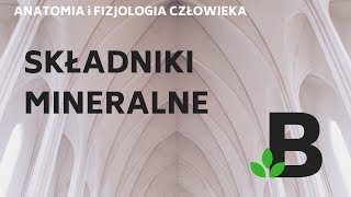 składniki MINERALNE  ANATOMIA i FIZJOLOGIA człowieka  KOREPETYCJE z BIOLOGII  259 [upl. by Berman]