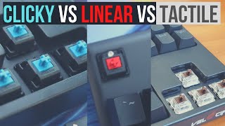 Clicky Vs Tactile Vs Linear Mechanical Keyboard Switches with Sound Tests And Examples [upl. by Jae]