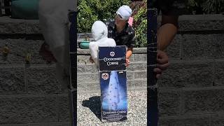 UnboxingSetUp of COCOONED CORPSE from Spirit Halloween halloween cool unboxing 2018 fun new [upl. by Cassell889]